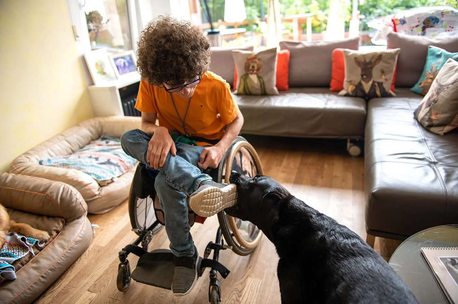 Assistenzhund Buena und hilf Paul beim Schuhe ausziehen